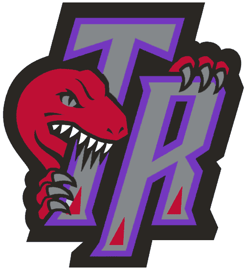 Toronto Raptors 1995-2006 Alternate Logo v3 DIY iron on transfer (heat transfer)